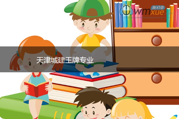 天津城建王牌专业