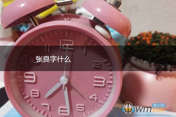 张良字什么