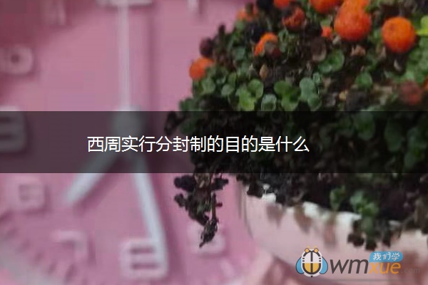 西周实行分封制的目的是什么