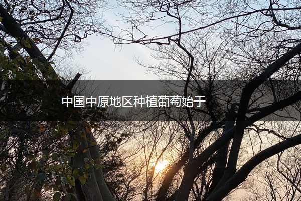 中国中原地区种植葡萄始于