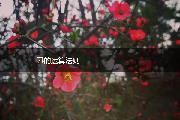 幂的运算法则