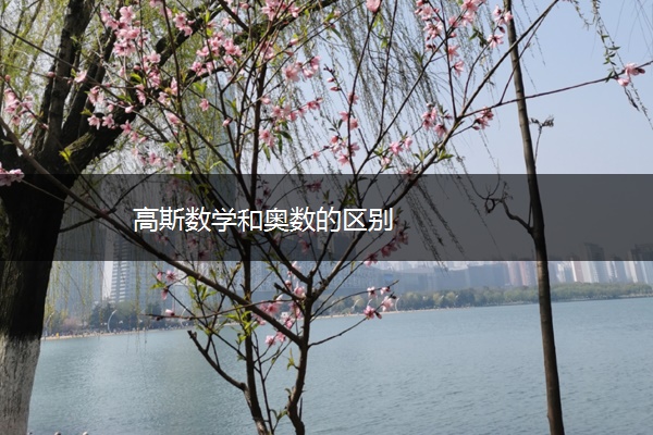 高斯数学和奥数的区别