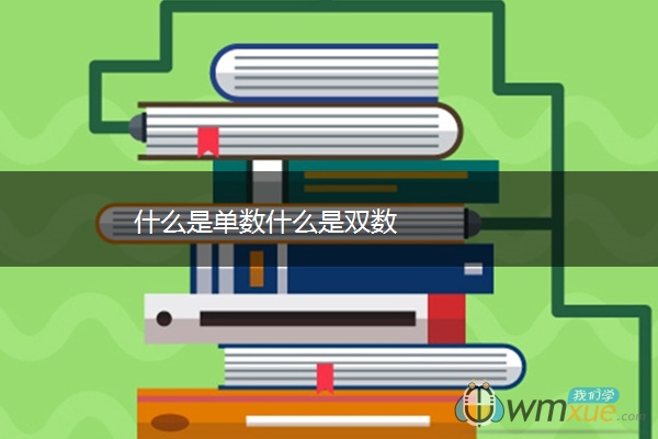 什么是单数什么是双数
